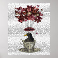 Blackbird Dans Teup