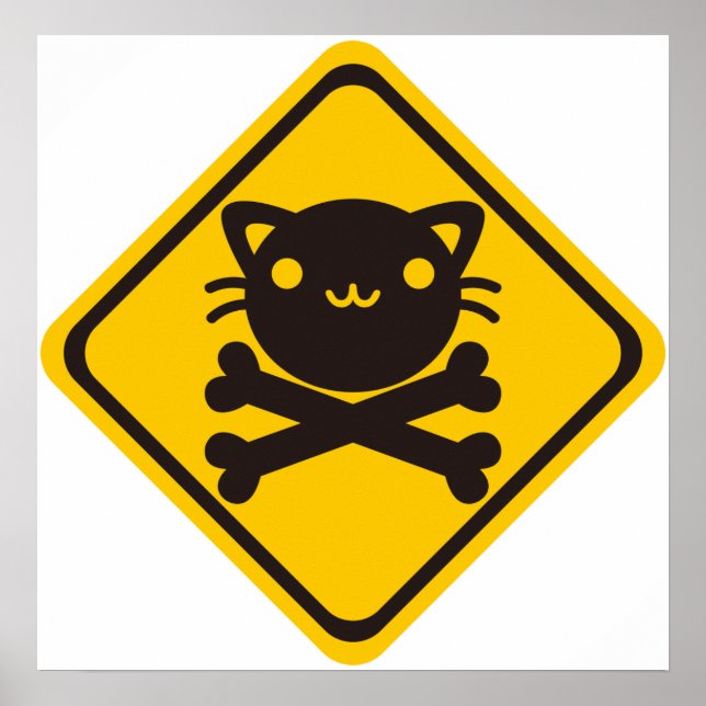 Poster BlackJack(Chat) (Devant)