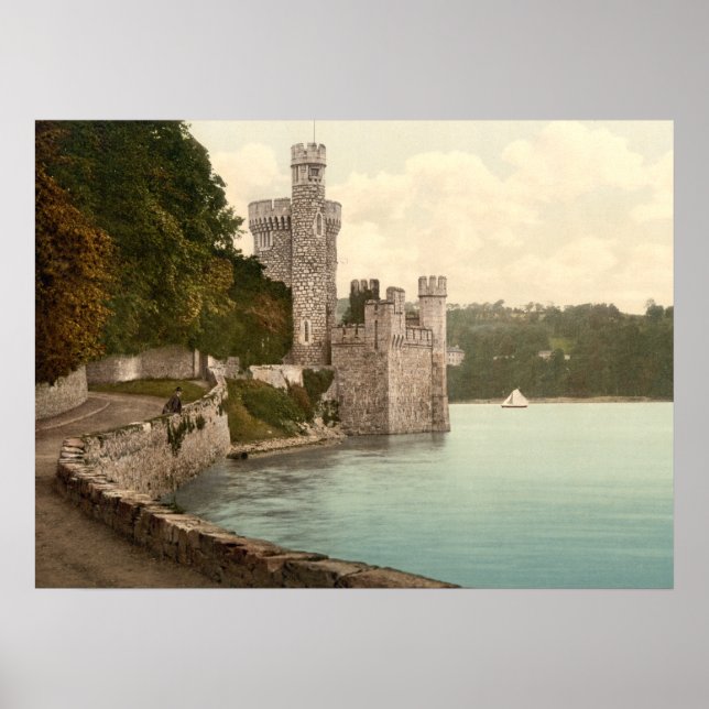 Poster Blackrock Castle Cork Irlande (Devant)