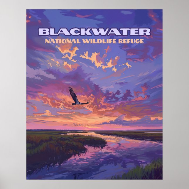 Poster Blackwater National Wildlife Refuge Park Maryland (Devant)