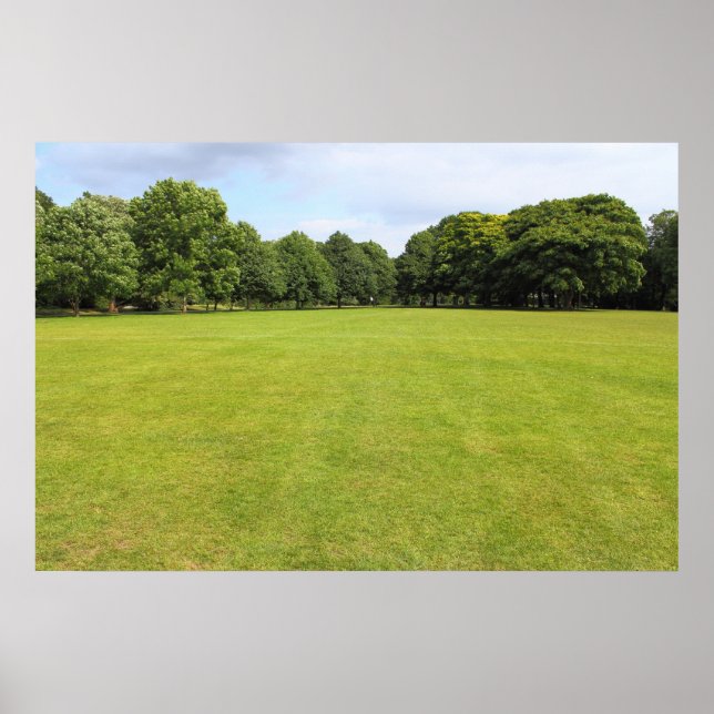 Poster Blackweir Fields, Bute Park, Cardiff (Devant)