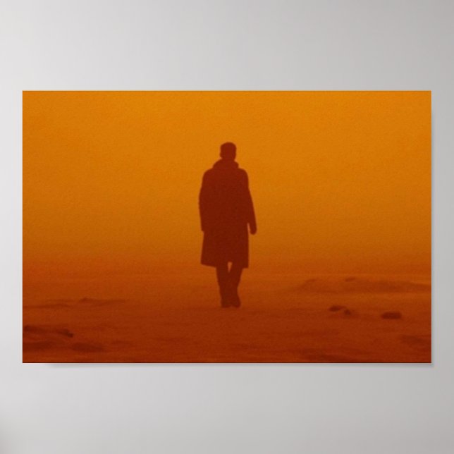 Poster Bladerunner 2049 (Devant)