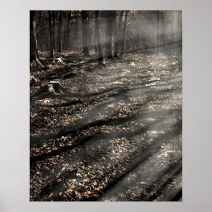 Poster Blair Witch....là-bas !