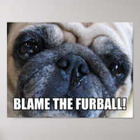 BLÂME LE FURBALL ! ALLERGIE MEME