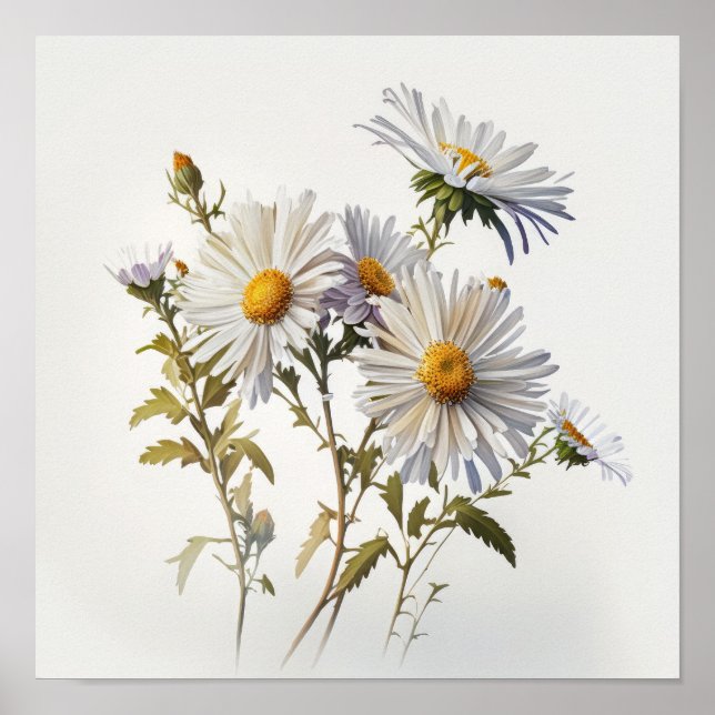 Poster blanc Aster Flower Art (Devant)