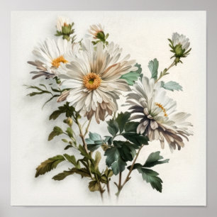 Poster blanc Aster Flower Art