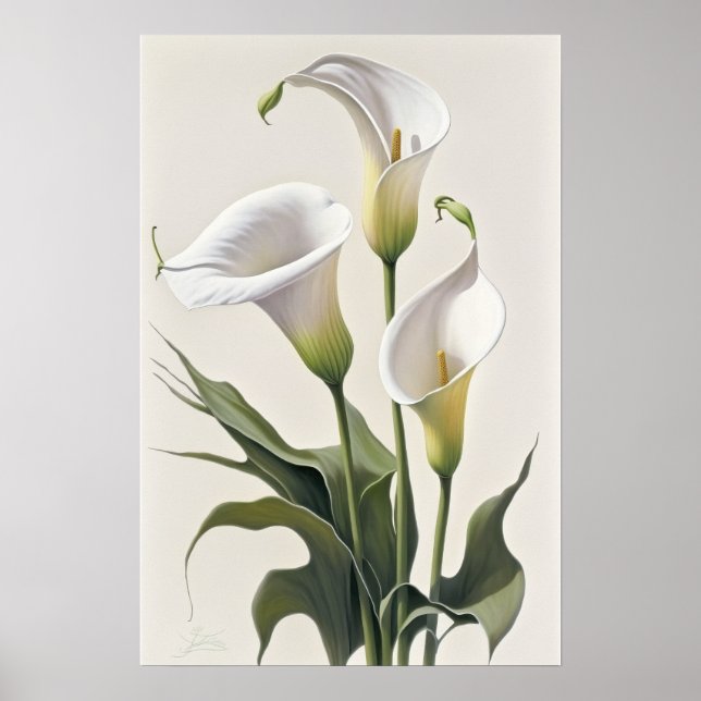 Poster Blanc Calla Lilies Lily Art à la floraison Imprime (Devant)