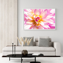 Poster blanc et rose Dahlia