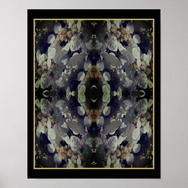 Poster Blanc Lacecap Hydrangea Floral Abstrait (Devant)