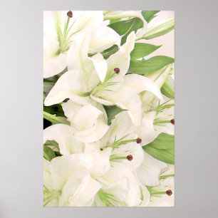 Poster blanc Lilies