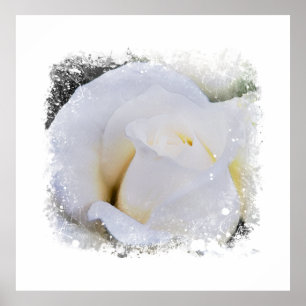 Poster *~* Blanc Macro Rose Floral Artisan AR8 Imprimer