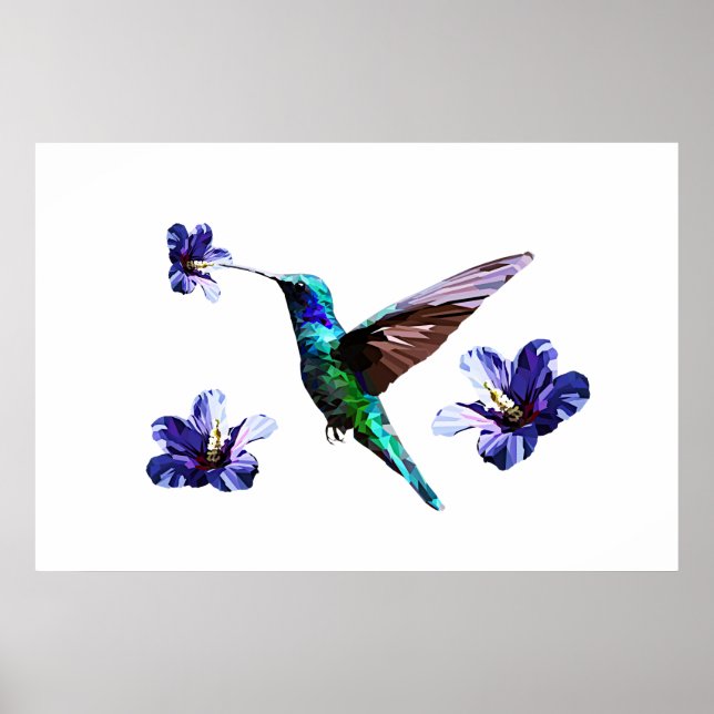 Poster blanc magnifique de colibri/Hibiscus (Devant)