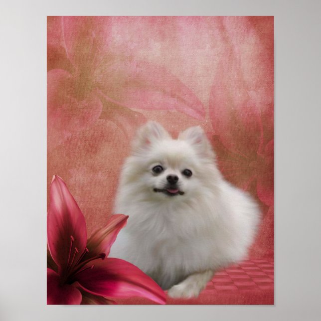 Poster Blanc Poméranien Chien Lily Fleurs d'art animal (Devant)