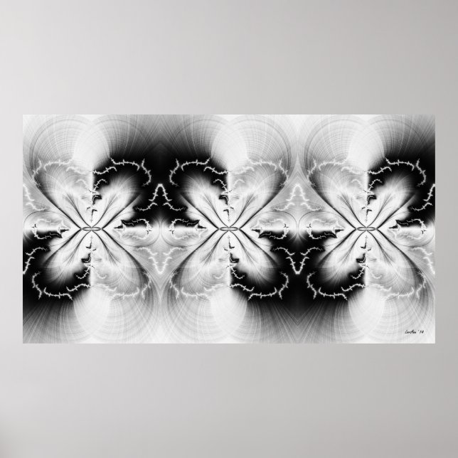Poster Blanc TripX (Devant)