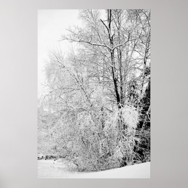 Poster Blancs d'hiver (Devant)