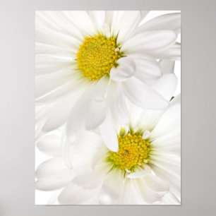 Poster Blancs - Modèle Fleur de marguerite Customisé