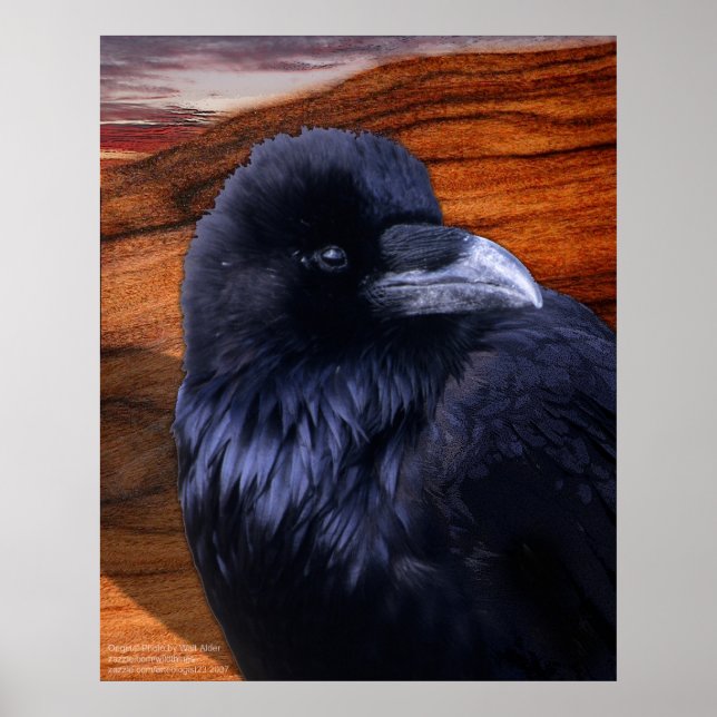 Poster Blazen Raven (Devant)