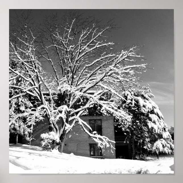 Poster Blessure d'hiver B+W (Devant)