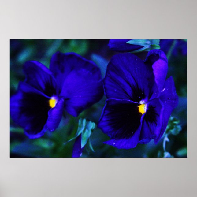 Poster Bleu (Devant)