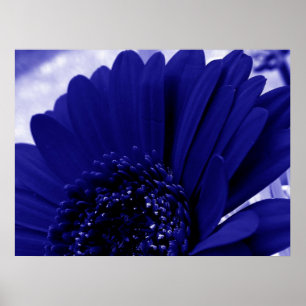 Poster Bleu