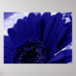 Poster Bleu