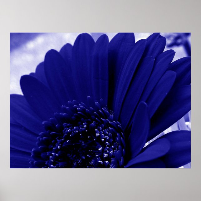 Poster Bleu (Devant)