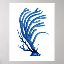 Bleu Corail imprimé #2 Mur côtier Décor Art
