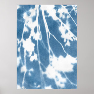 Poster Bleu Cyanotype Japon Fleur de Cerisier Inspiration