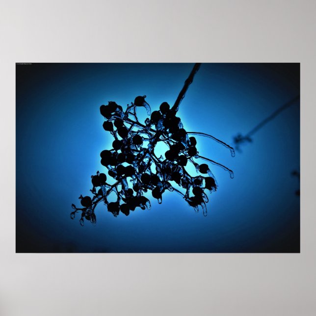 Poster Bleu d'hiver (Devant)