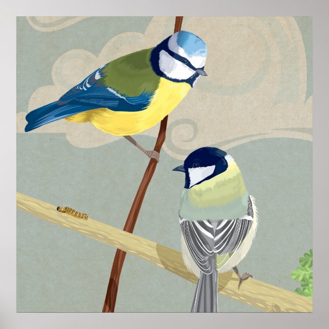 Poster Bleu et grande mésange (Devant)