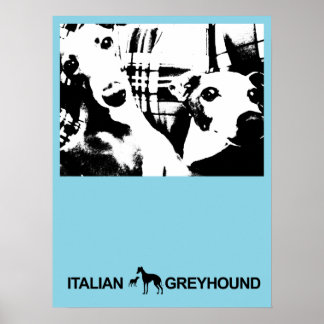 Poster Bleu gris italien