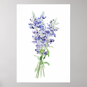 Poster bleu mealycup fleurs de sauge bouquet aquarelle