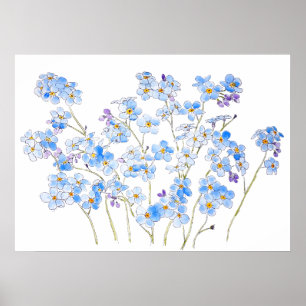 Poster bleu oubliez moi pas encre et aquarelle 2023