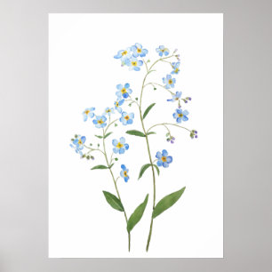 Poster bleu oubliez moi pas fleurs 2021 aquarelle