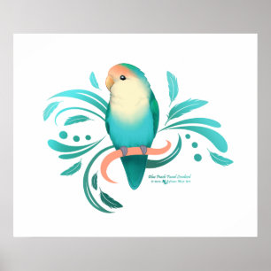 Poster Bleu Pêche face Lovebird