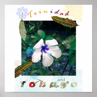 Poster bleu pollen t zazzle