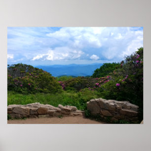 Poster Bleu Ridge Spring Imprimer