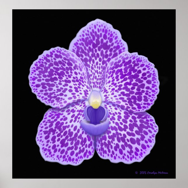Poster Bleu Vanda Orchid Bloom Imprimer (Devant)