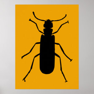 Poster Blister Beetle Silhouette