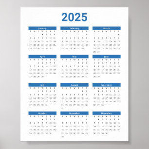Poster Bliue et Blanc 2025 Année à un coup d'oeil Calendr