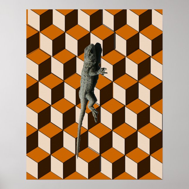 Poster - Blocs Escalades Lizard (Devant)