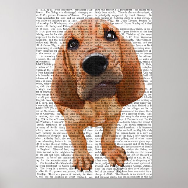 Poster Bloodhound Puppy (Devant)