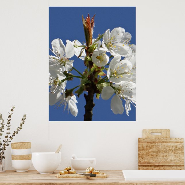 Poster Bloom du printemps blanc (Cuisine)