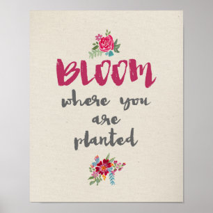 Poster Bloom là où vous avez planté l'affiche