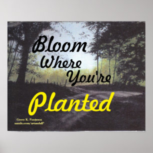 POSTER "BLOOM OÙ VOUS ÊTES PLANTÉ"