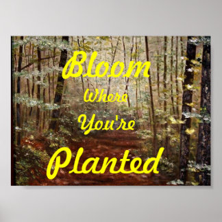 POSTER "BLOOM OÙ VOUS ÊTES PLANTÉ"