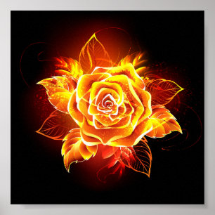 Poster Blooming Fire Rose