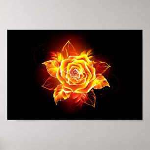 Poster Blooming Fire Rose