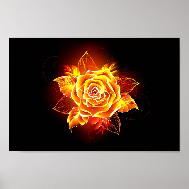 Poster Blooming Fire Rose (Devant)
