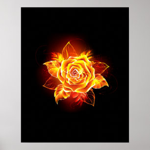 Poster Blooming Fire Rose